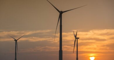 Relatório mostra desigualdade no processo de transição energética