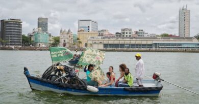 Virada Cultural Amazônia de Pé mobiliza sociedade para proteger bioma