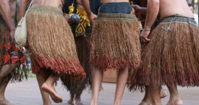 Virada Sustentável celebra 15 anos com programação diversa e gratuita