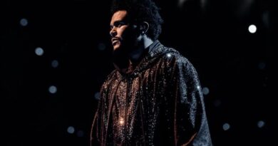 artista anuncia shows para 2026; saiba mais