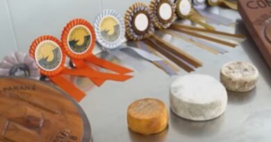 produtores do Paraná surpreendem em concurso mundial de queijos e levam sete medalhas