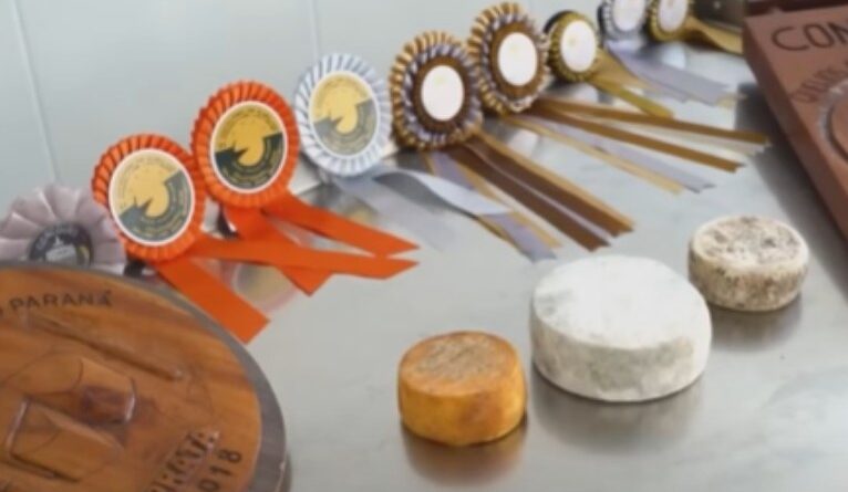 produtores do Paraná surpreendem em concurso mundial de queijos e levam sete medalhas
