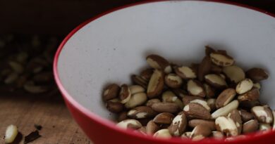 Agricultura familiar do Nordeste vai à maior feira mundial alimentos