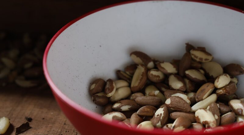 Agricultura familiar do Nordeste vai à maior feira mundial alimentos