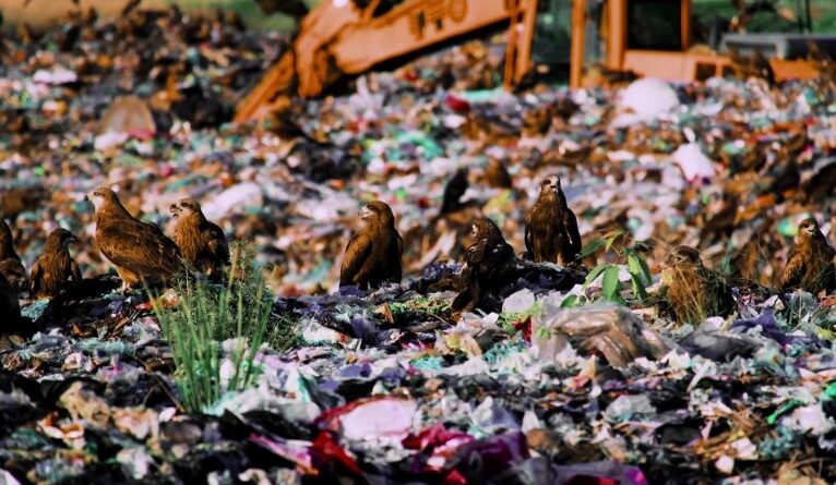 Às vésperas da COP30, TV Cultura estreia a série documental "O Lixo Também é Seu!"