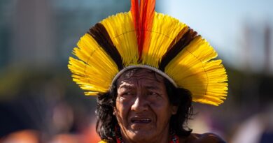 Brasil tem 5,42% das crianças indígenas sem certidão de nascimento