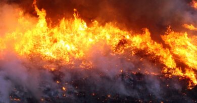 Brigadistas combatem incêndio em Cavalcante, Goiás