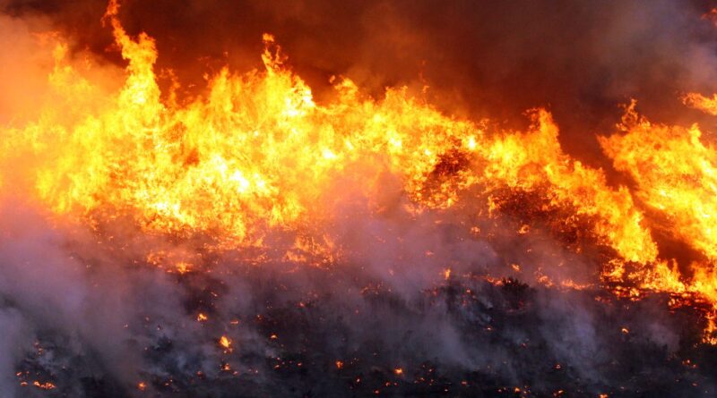 Brigadistas combatem incêndio em Cavalcante, Goiás