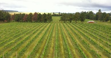 CMN restringe linha especial de R$ 12 bilhões a produtores do RS