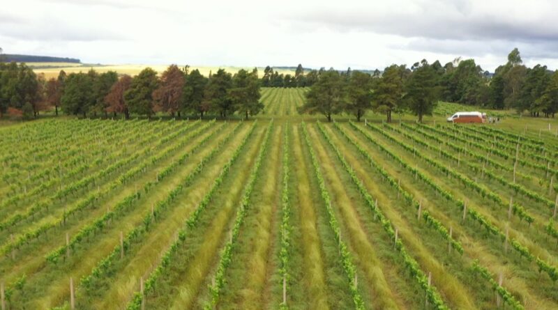 CMN restringe linha especial de R$ 12 bilhões a produtores do RS