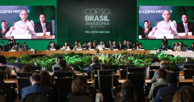 “COP é o lugar para resolver financiamento climático”, diz economista