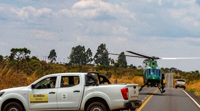 Chuva ajudou no combate a incêndios na Chapada dos Veadeiros