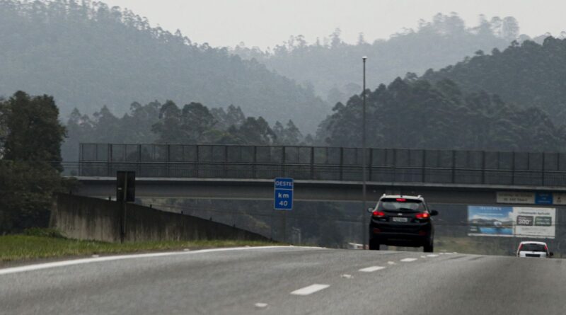 Consórcio PR vence leilão do Lote 4 de Rodovias do Paraná