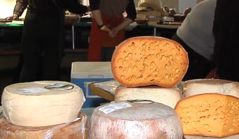 Estado de São Paulo lança “Rotas do Queijo” para impulsionar turismo e produção artesanal