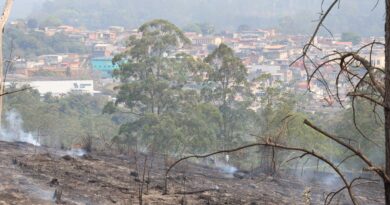 Estiagem longa pode atrasar chegada do período chuvoso em São Paulo