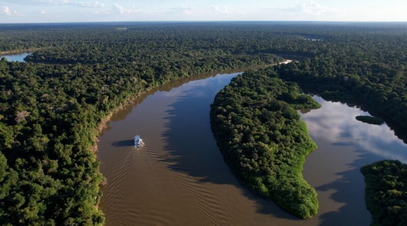 Extrativismo sustentável na Amazônia é tema do Caminhos da Reportagem