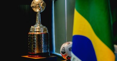 Flamengo e Palmeiras disputam 7ª final brasileira da Libertadores