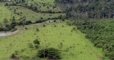 Governo prorroga prazo para georreferenciamento de imóveis rurais