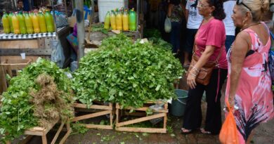 Mercado do Povo levará mercados modulares a pequenas cidades