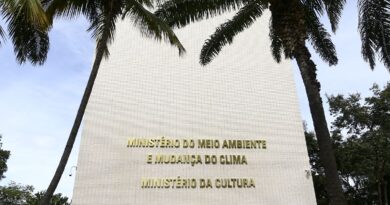 MinC quer transformar escolas de samba em pontos de cultura