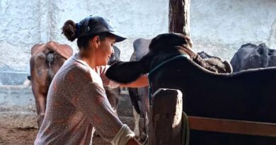 Mulheres rurais enfrentam informalidade e desigualdade no campo