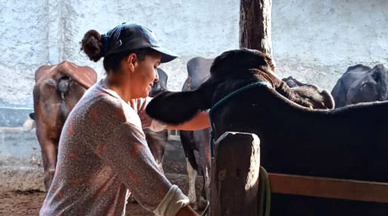 Mulheres rurais enfrentam informalidade e desigualdade no campo