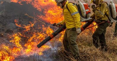 Pré-COP: Brasil propõe resposta global a incêndios florestais