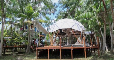 Roteiro turístico em Belém oferecerá visita à Ilha do Combu