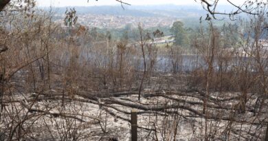 SP segue em atenção para queimadas; reservatórios estão em alerta