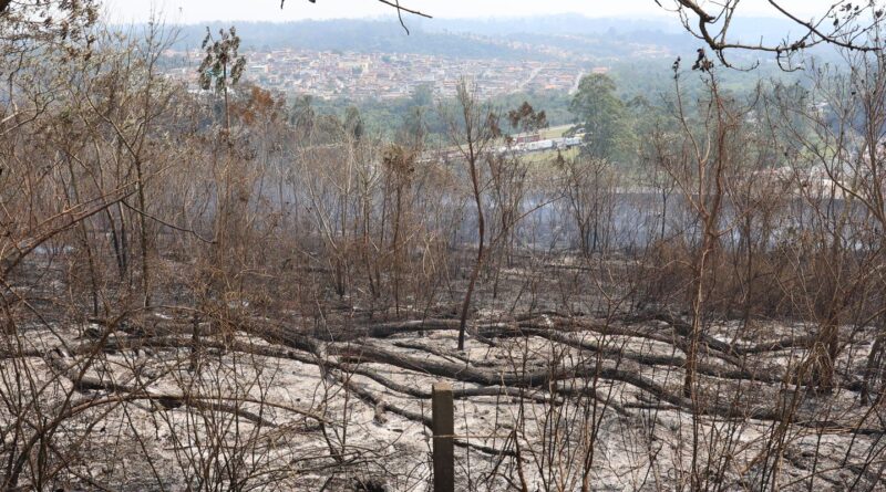 SP segue em atenção para queimadas; reservatórios estão em alerta