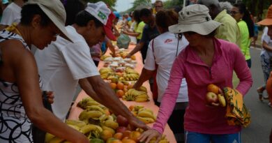 Ação da Cidadania lança Natal sem Fome 2025