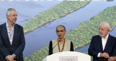 Alemanha dará 1 bilhão de euros para florestas tropicais, diz Marina