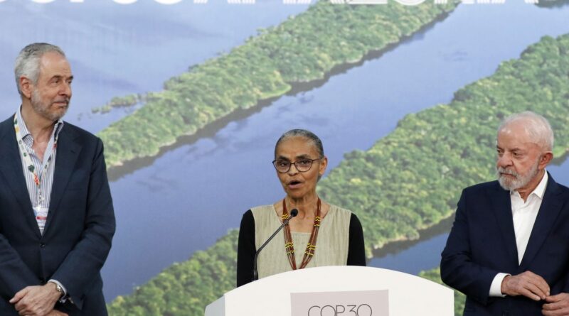 Alemanha dará 1 bilhão de euros para florestas tropicais, diz Marina