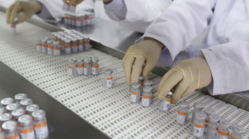 Anvisa aprova registro de vacina 100% nacional contra dengue