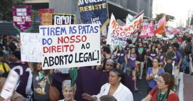 Ataque a aborto legal espalha "pânico moral", diz dirigente do Conanda
