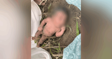 Bebê recém-nascida é encontrada abandonada na beira de estrada em Boa Esperança – Portal Momento