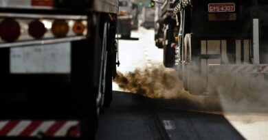 Brasil reduziu 16,7% emissões de gases do efeito estufa em 2024