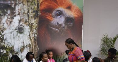 COP30: financiamento, transição e adaptação são centro das negociações