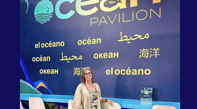 COP30: oceanos podem cortar 35% das emissões de CO₂ até 2050