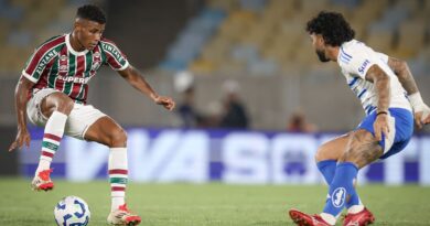 Cruzeiro e Fluminense jogam pela 33ª rodada do Campeonato Brasileiro