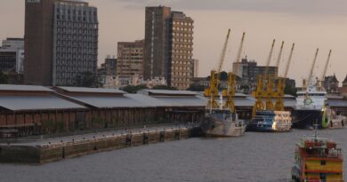 Delegado aponta risco no combate a crimes ambientais com PL Antifacção