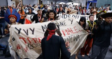 Demarcação de terras e maior participação mobilizaram protestos na COP