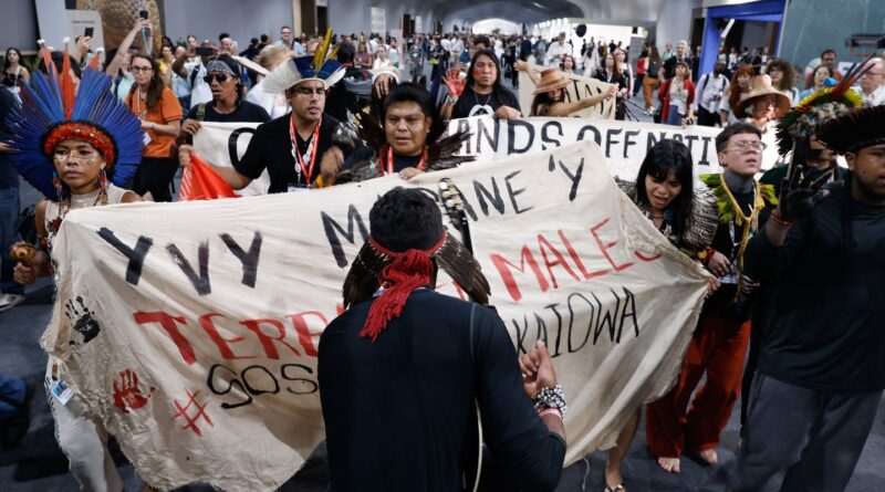 Demarcação de terras e maior participação mobilizaram protestos na COP