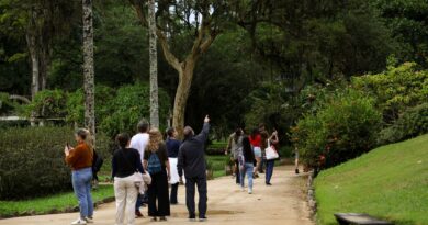 Dia da Consciência Negra: Jardim Botânico do Rio tem programa especial