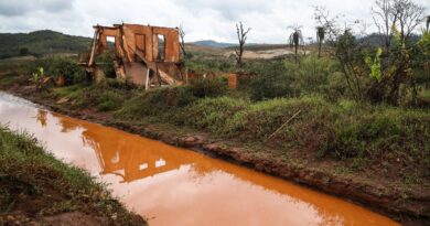 Doce Amargo faz reportagem em quadrinhos sobre desastre em Mariana