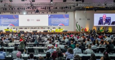 Documentos finais da COP30 fazem menção inédita a afrodescendentes