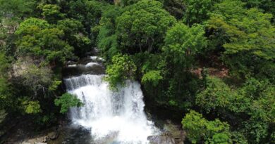 Fronteira Cerrado: ativistas pedem mesma prioridade dada à Amazônia