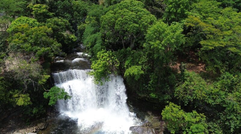 Fronteira Cerrado: ativistas pedem mesma prioridade dada à Amazônia