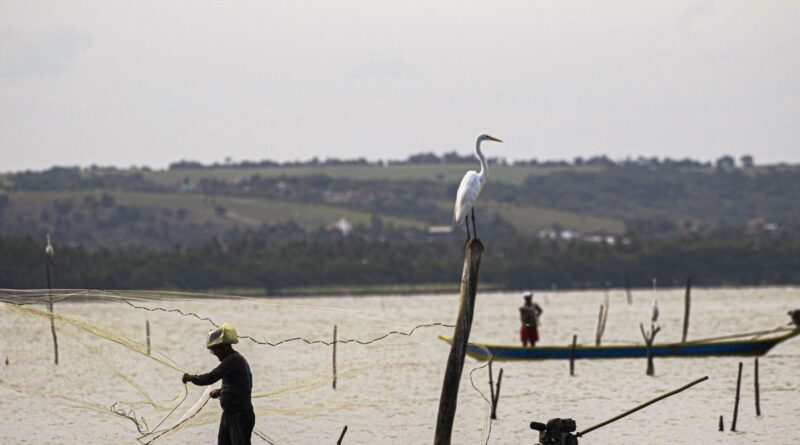 Gestão do seguro-defeso passa oficialmente ao Ministério do Trabalho