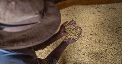 Livro aborda produção sustentável em meio à mudança climática